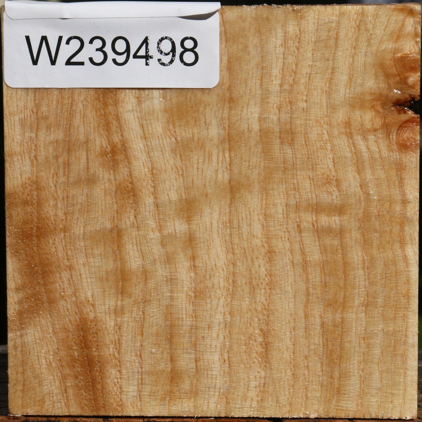 Figured Modesto Ash Bowl Blank