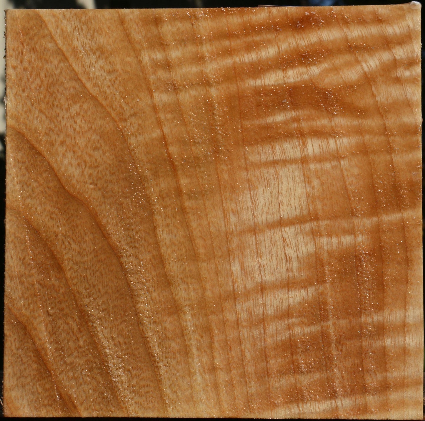 Extra Fancy Modesto Ash Bowl Blank