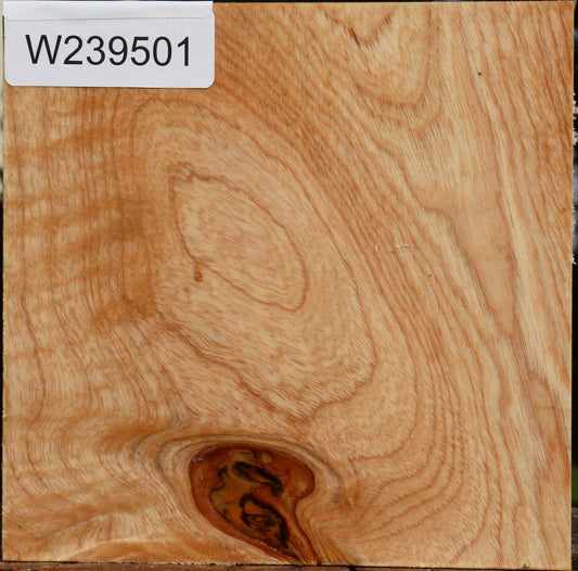 Modesto Ash Bowl Blank