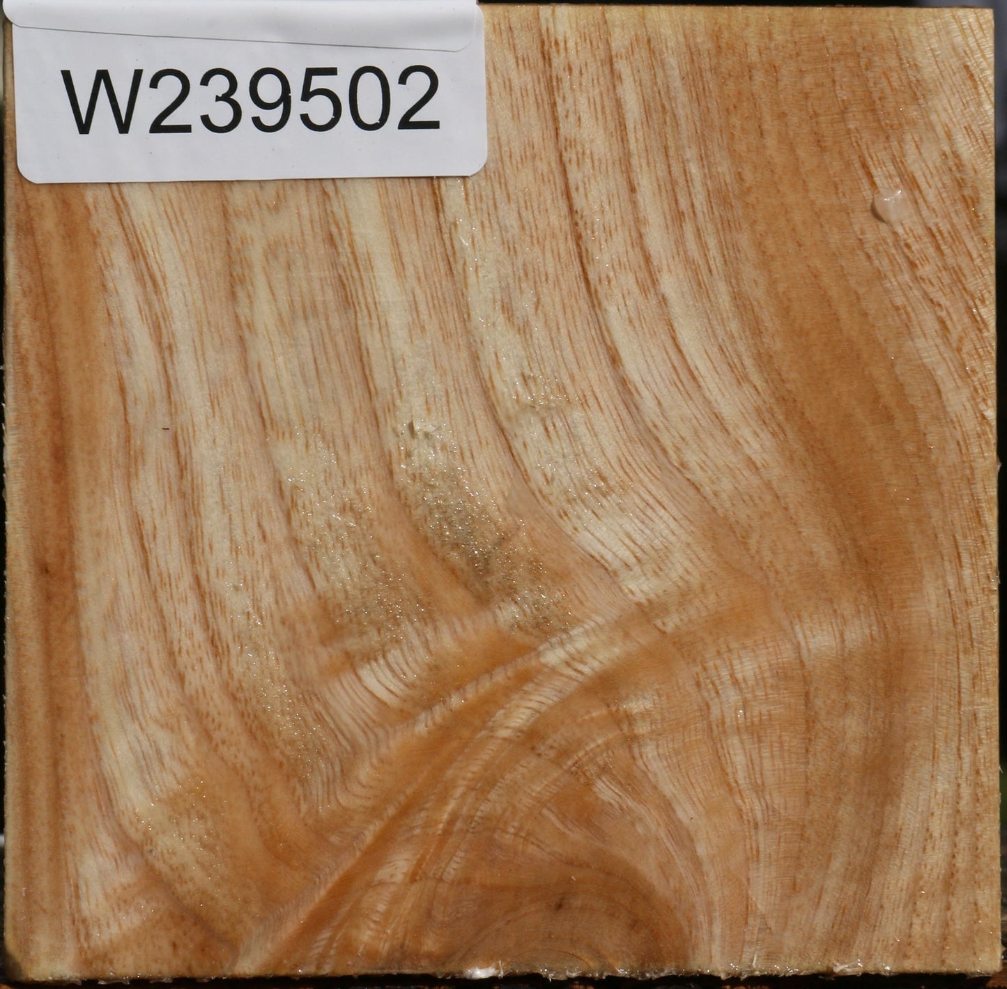 Figured Modesto Ash Bowl Blank