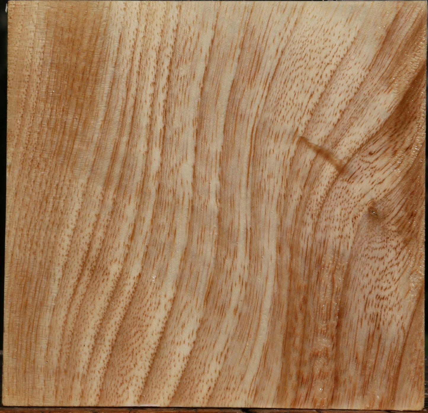 Figured Modesto Ash Bowl Blank