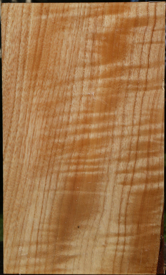 Figured Modesto Ash Vessel Blank