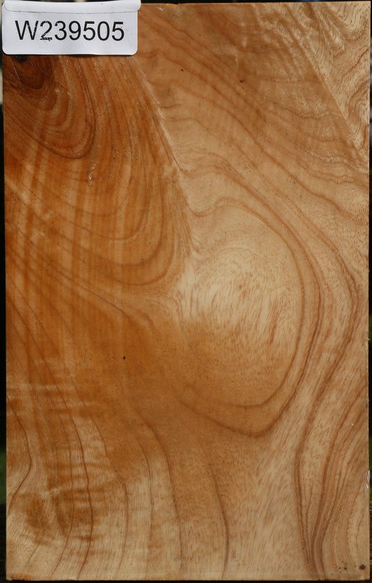 Extra Fancy Modesto Ash Vessel Blank