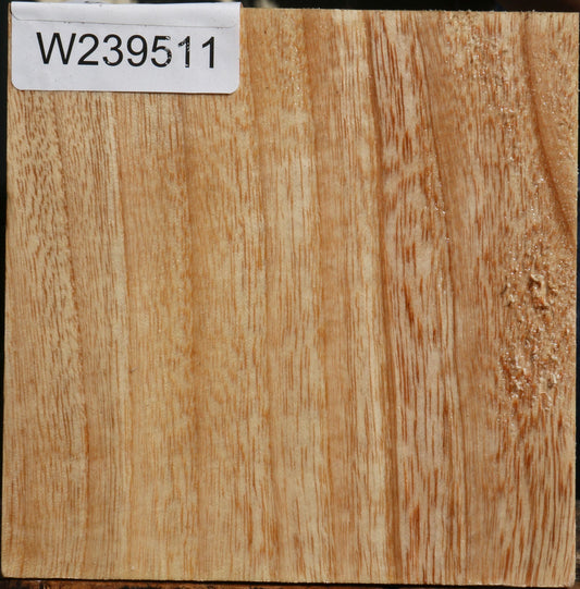 Modesto Ash Bowl Blank