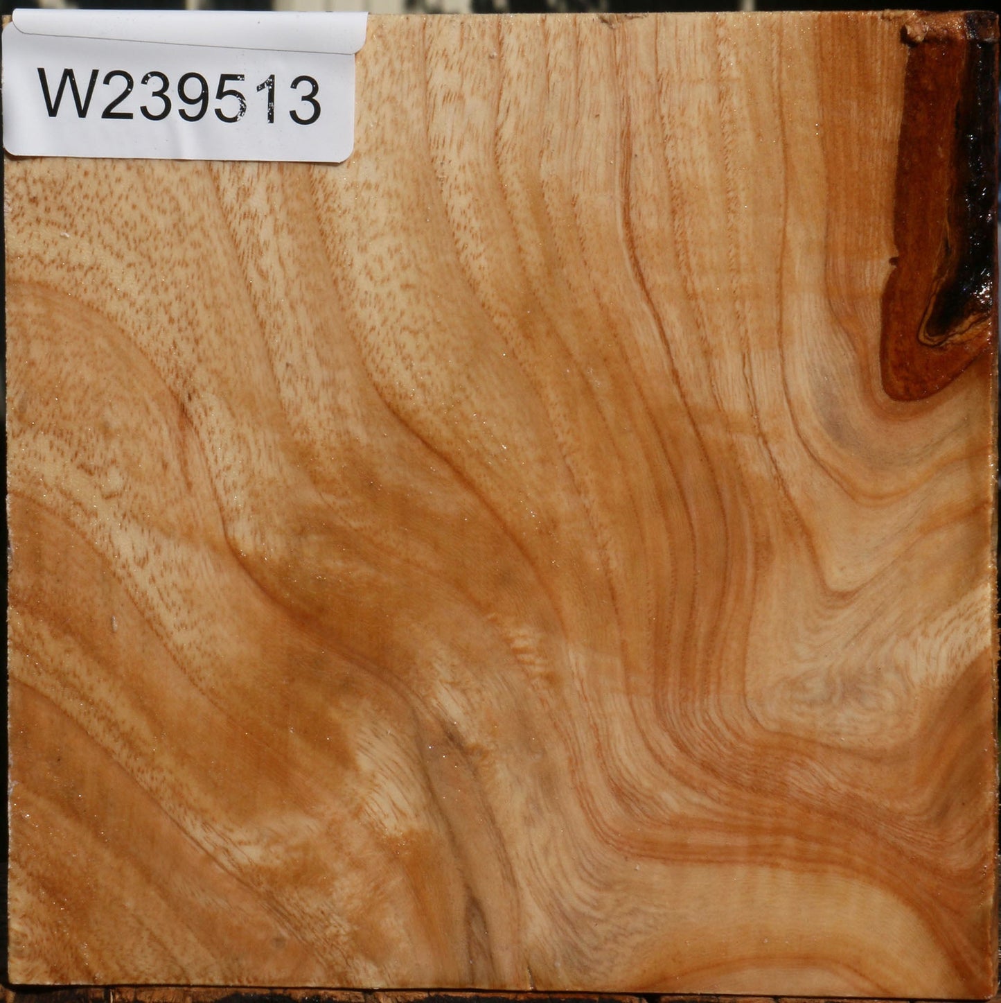 Extra Fancy Modesto Ash Bowl Blank