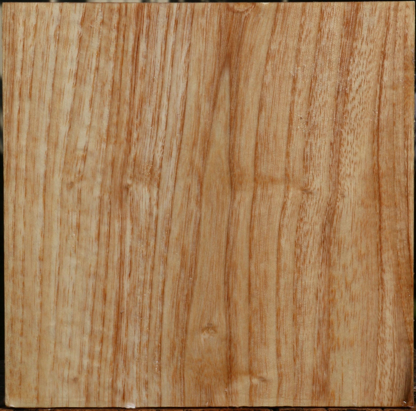 Extra Fancy Modesto Ash Bowl Blank