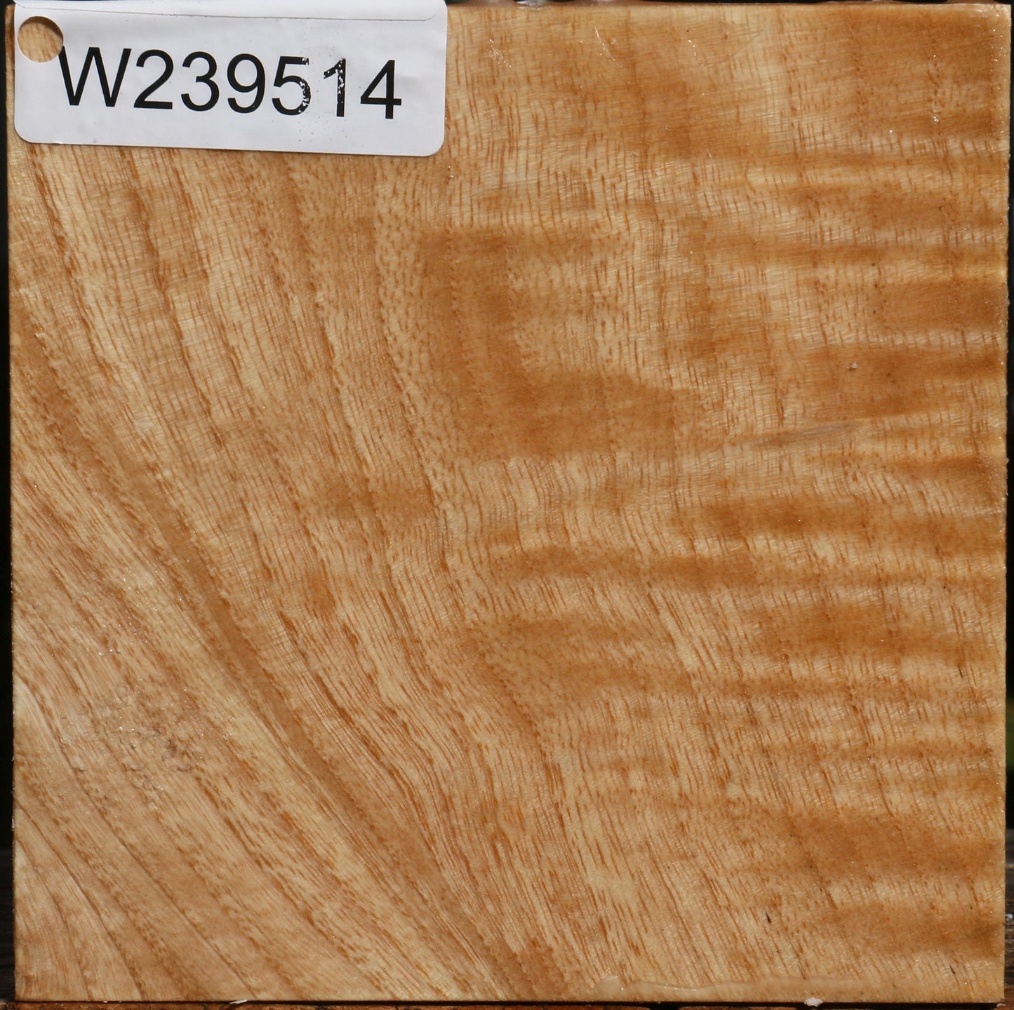 Figured Modesto Ash Bowl Blank