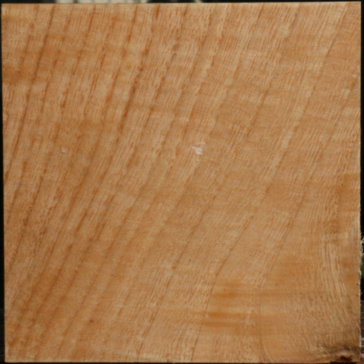 Figured Modesto Ash Bowl Blank