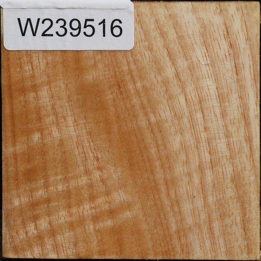 Figured Modesto Ash Bowl Blank