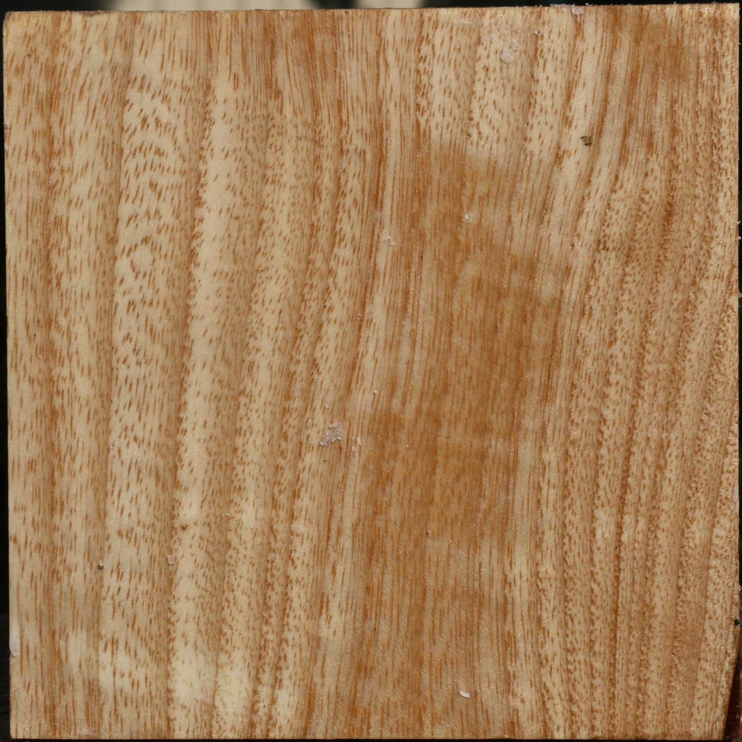 Figured Modesto Ash Bowl Blank