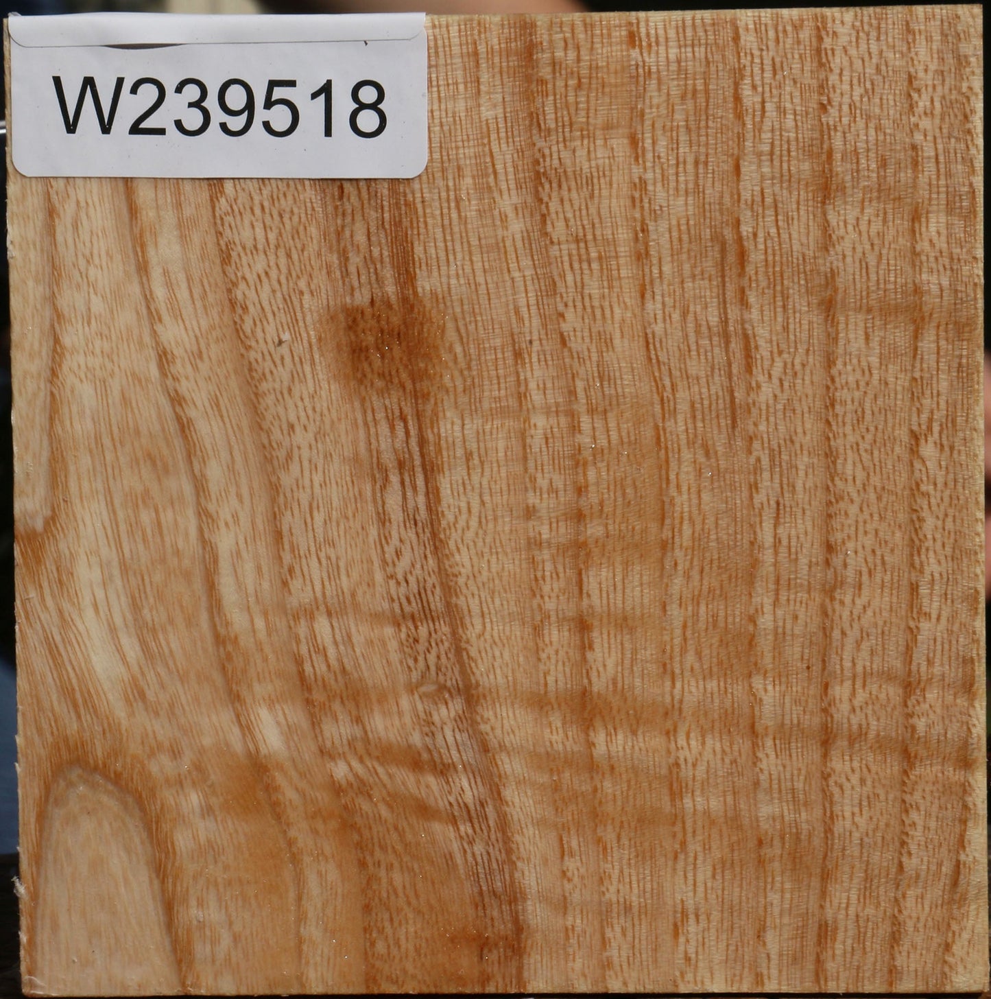 Modesto Ash Bowl Blank