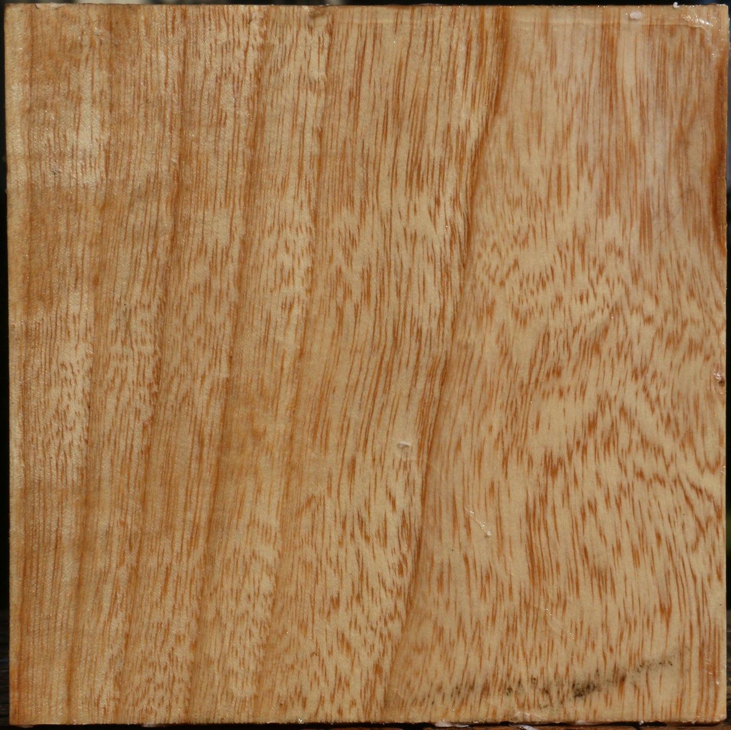 Modesto Ash Bowl Blank