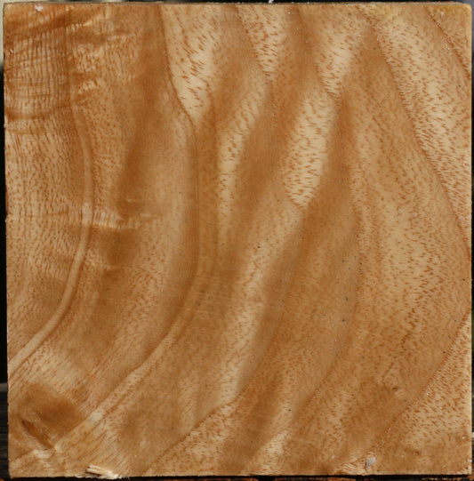 Extra Fancy Modesto Ash Bowl Blank