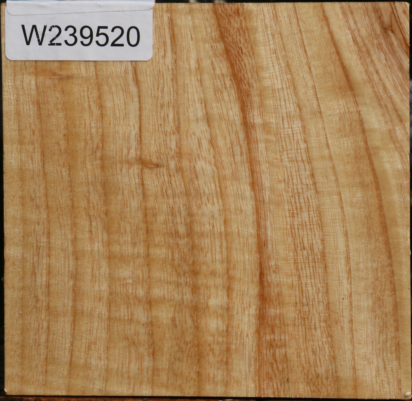 Modesto Ash Bowl Blank