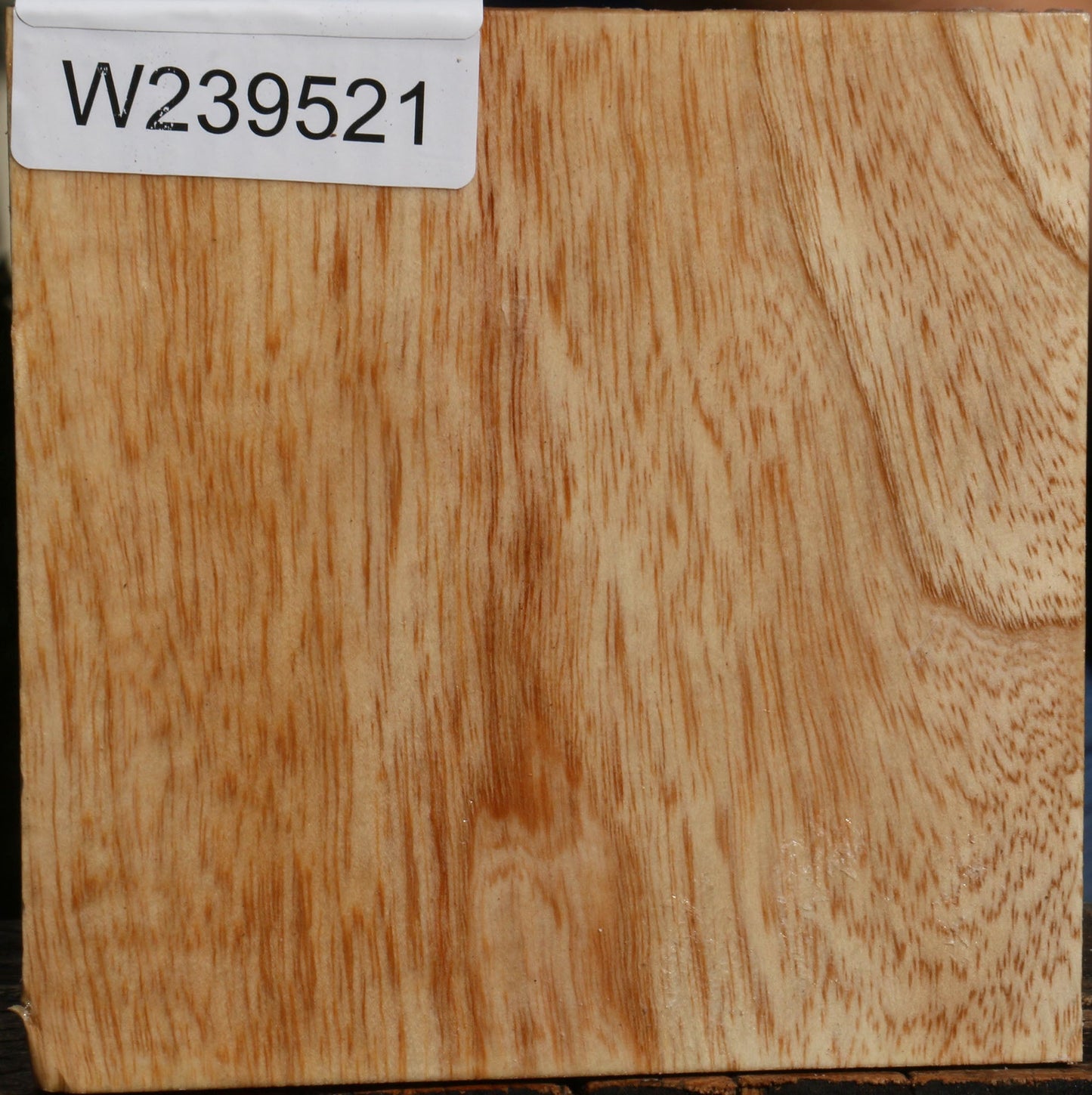 Modesto Ash Bowl Blank