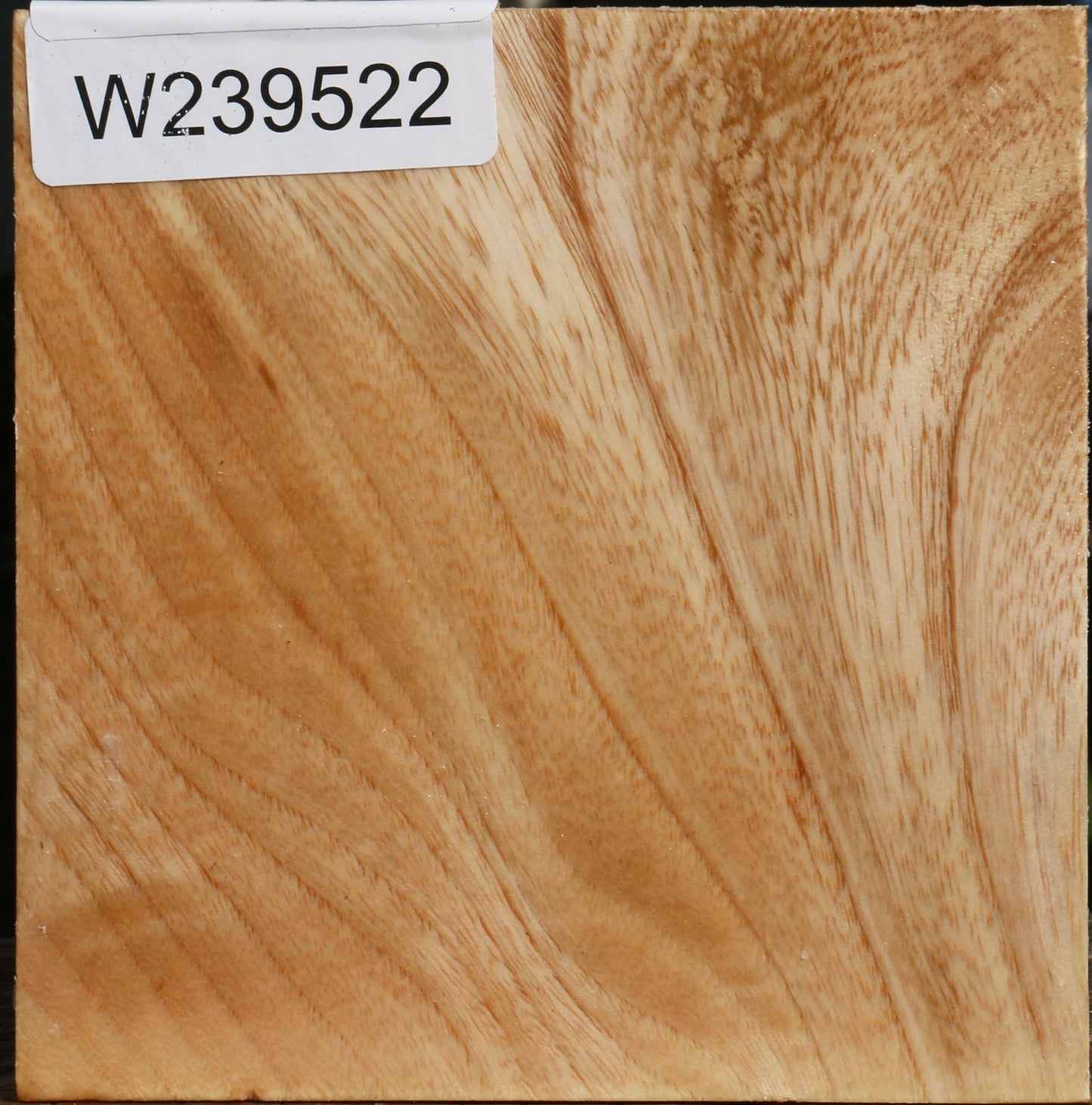 Figured Modesto Ash Bowl Blank