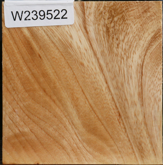 Figured Modesto Ash Bowl Blank