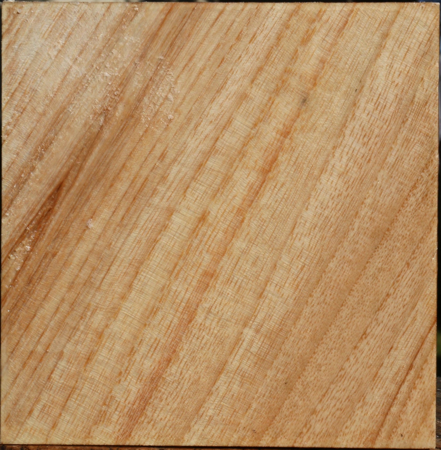 Figured Modesto Ash Bowl Blank