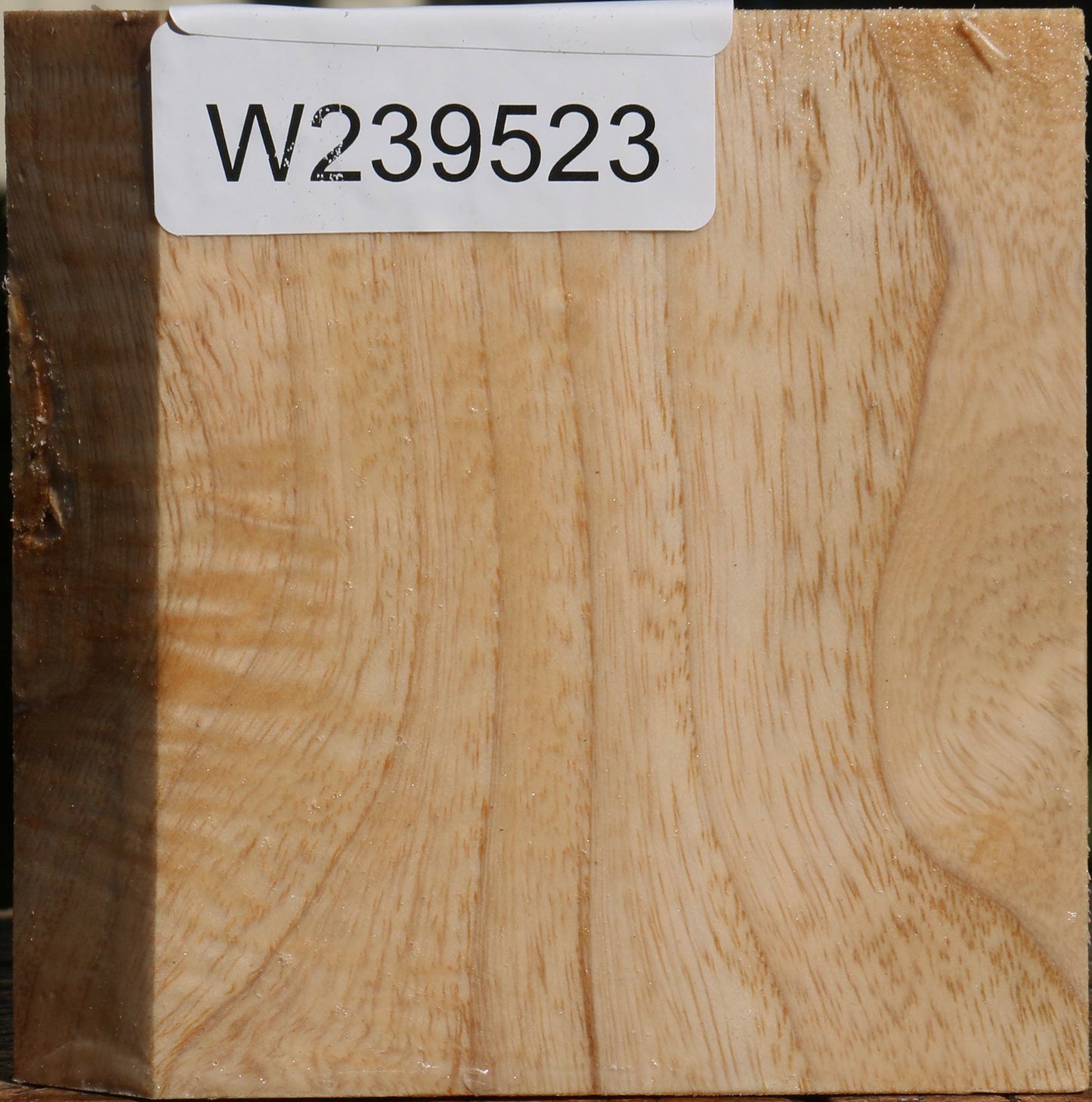 Figured Modesto Ash Bowl Blank