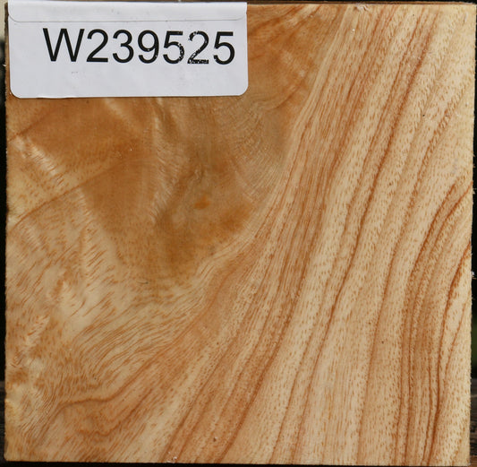 Figured Modesto Ash Bowl Blank