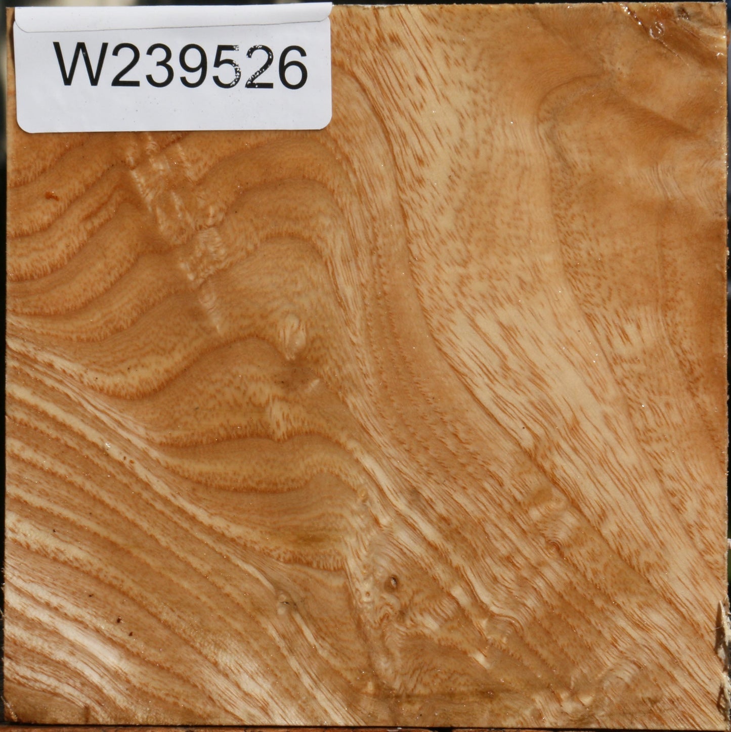 Extra Fancy Modesto Ash Bowl Blank