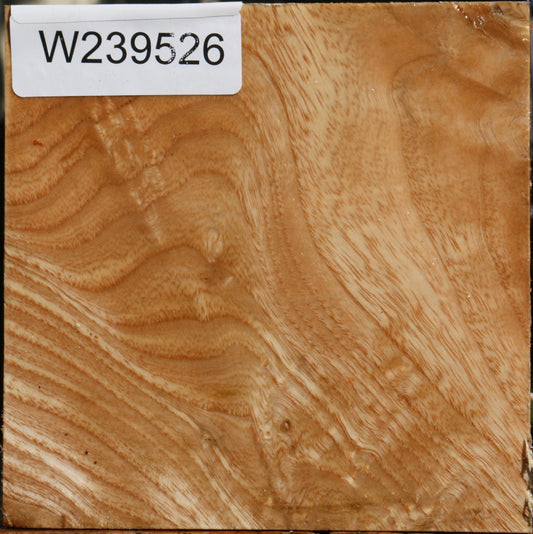 Extra Fancy Modesto Ash Bowl Blank