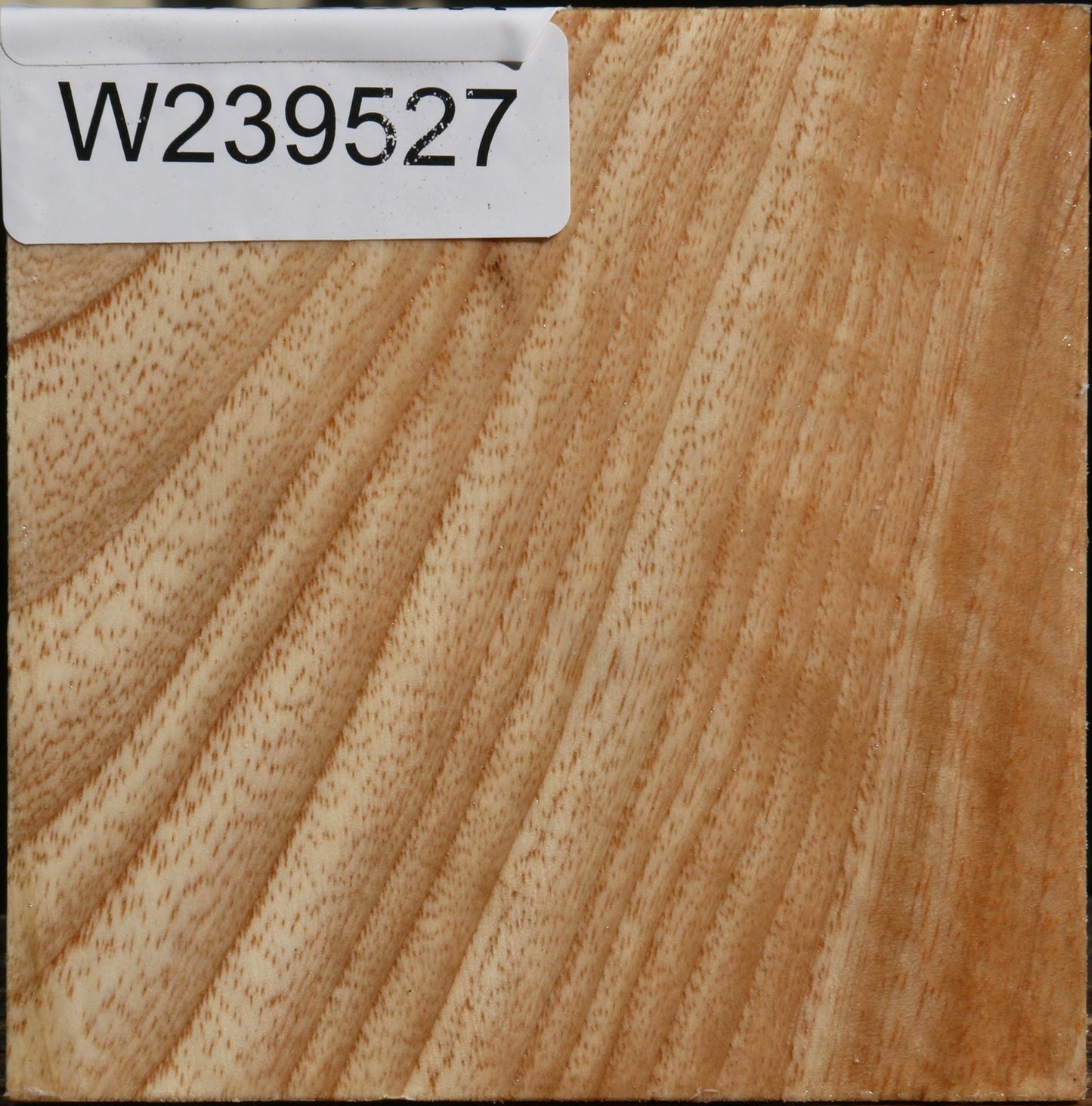 Figured Modesto Ash Bowl Blank