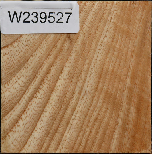 Figured Modesto Ash Bowl Blank