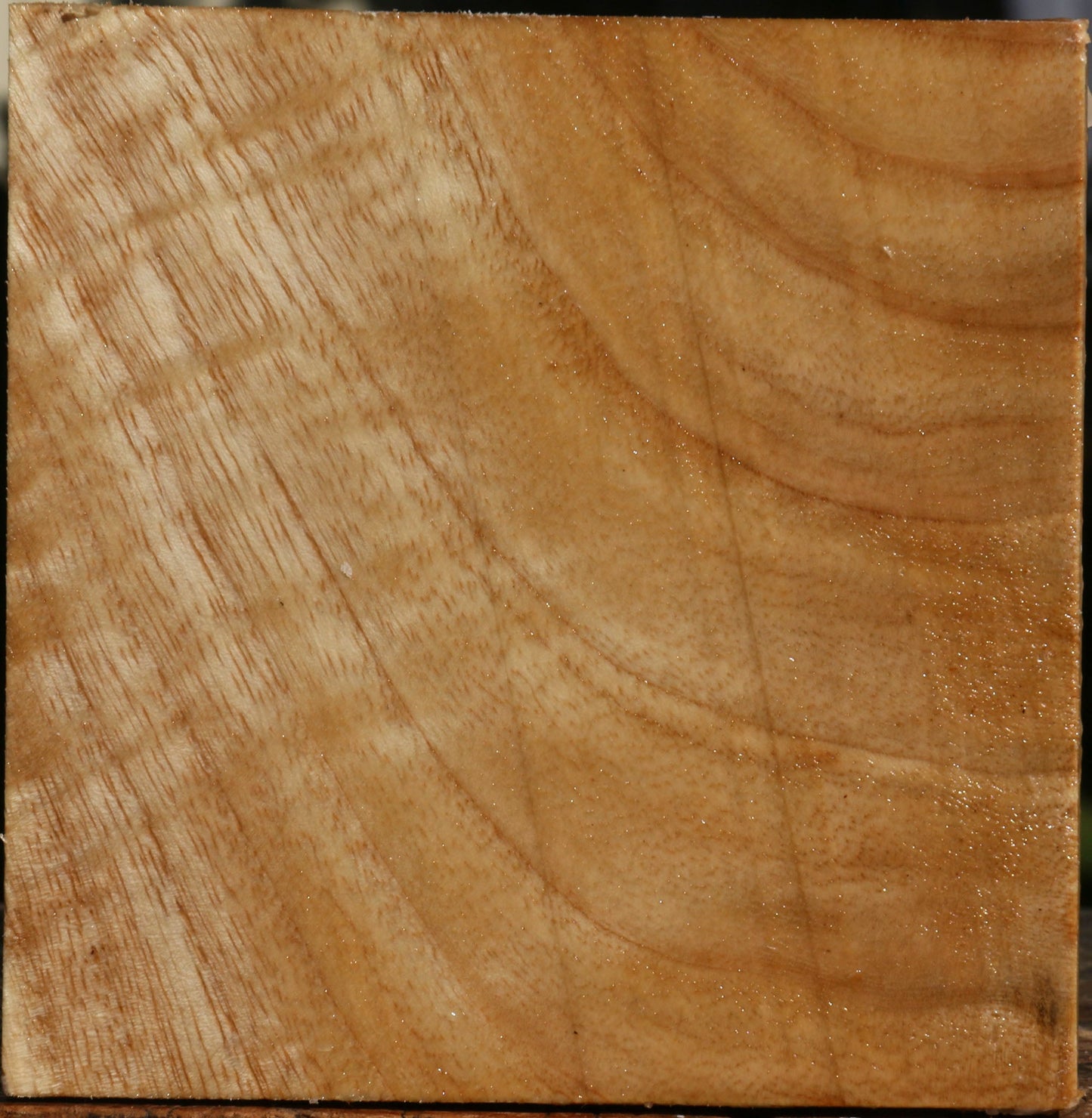 Figured Modesto Ash Bowl Blank