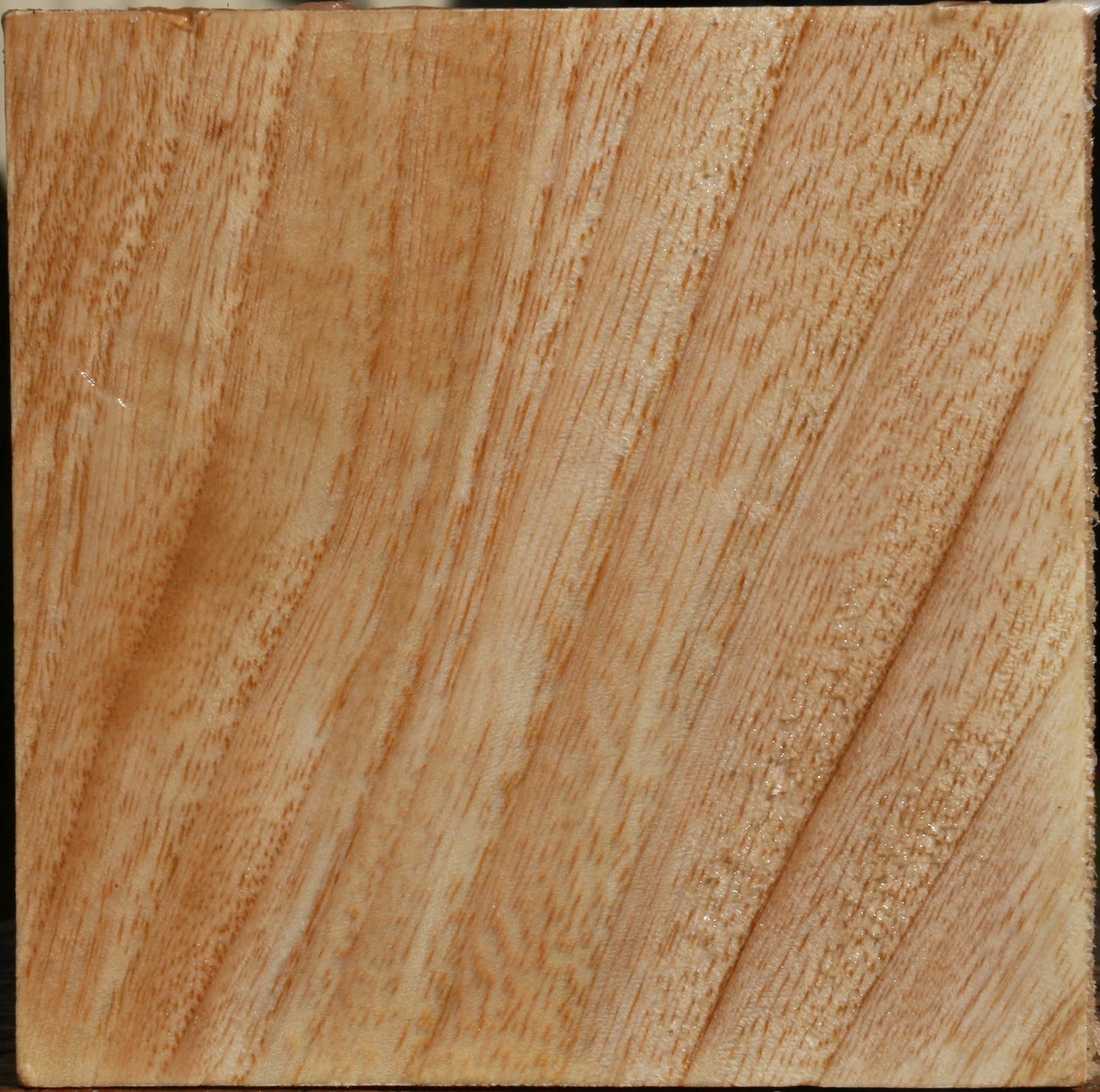 Figured Modesto Ash Bowl Blank