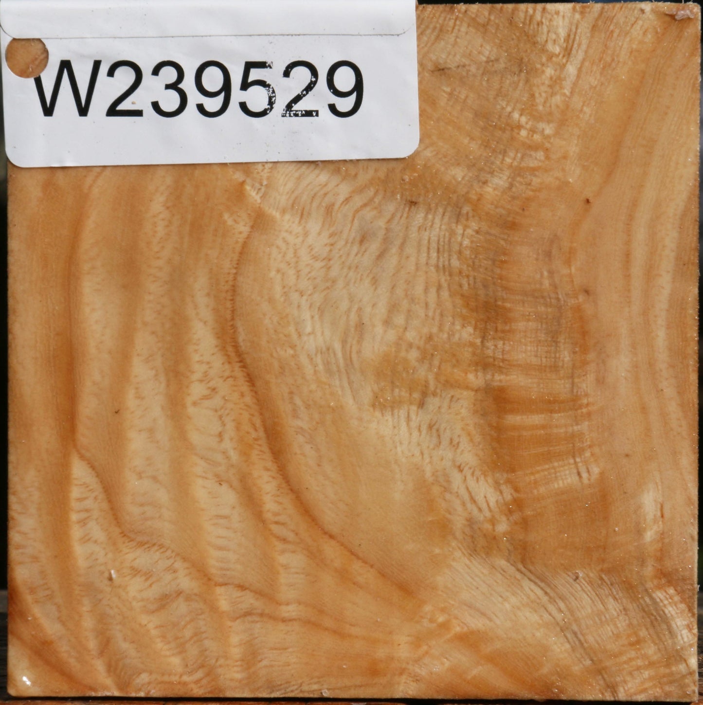 Figured Modesto Ash Bowl Blank