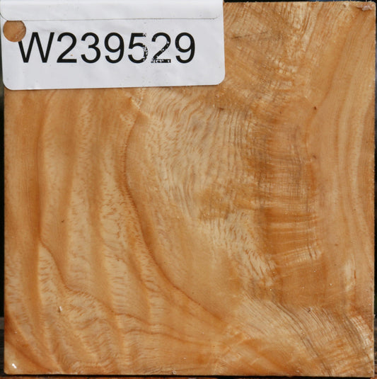 Figured Modesto Ash Bowl Blank