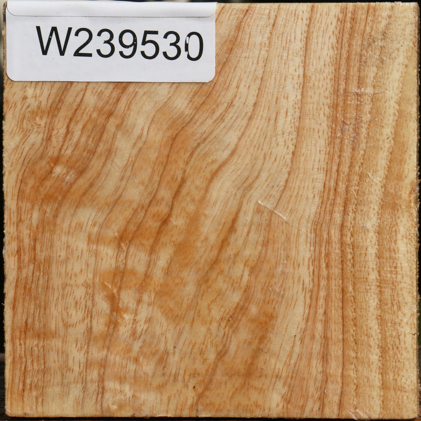 Figured Modesto Ash Bowl Blank