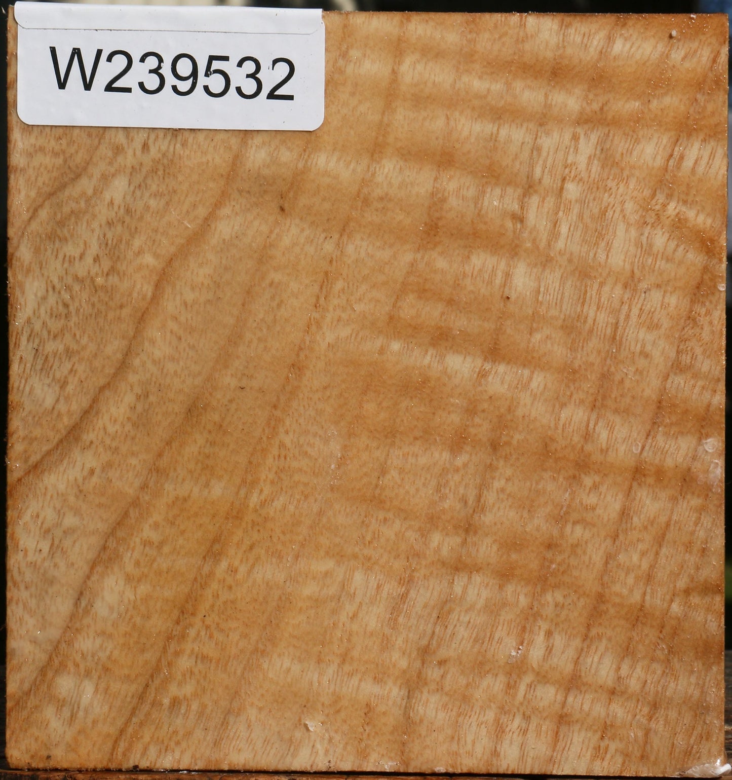 Figured Modesto Ash Bowl Blank