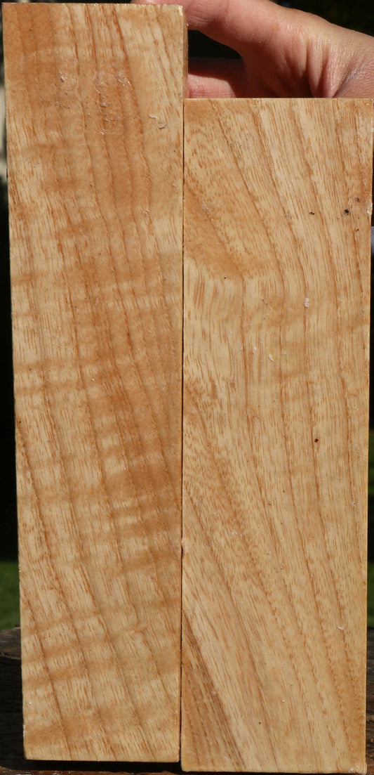Figured Modesto Ash Turning Square 2 Pack