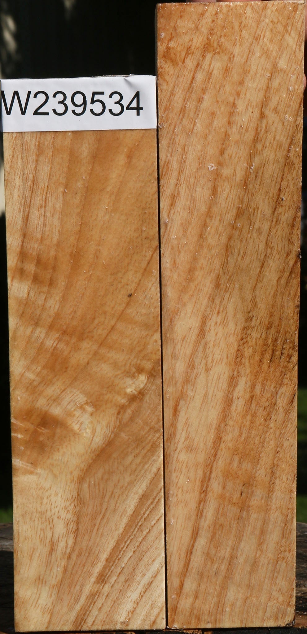 Figured Modesto Ash Turning Square 2 Pack