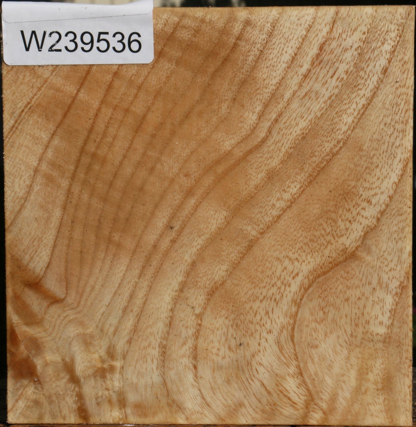 Extra Fancy Modesto Ash Bowl Blank