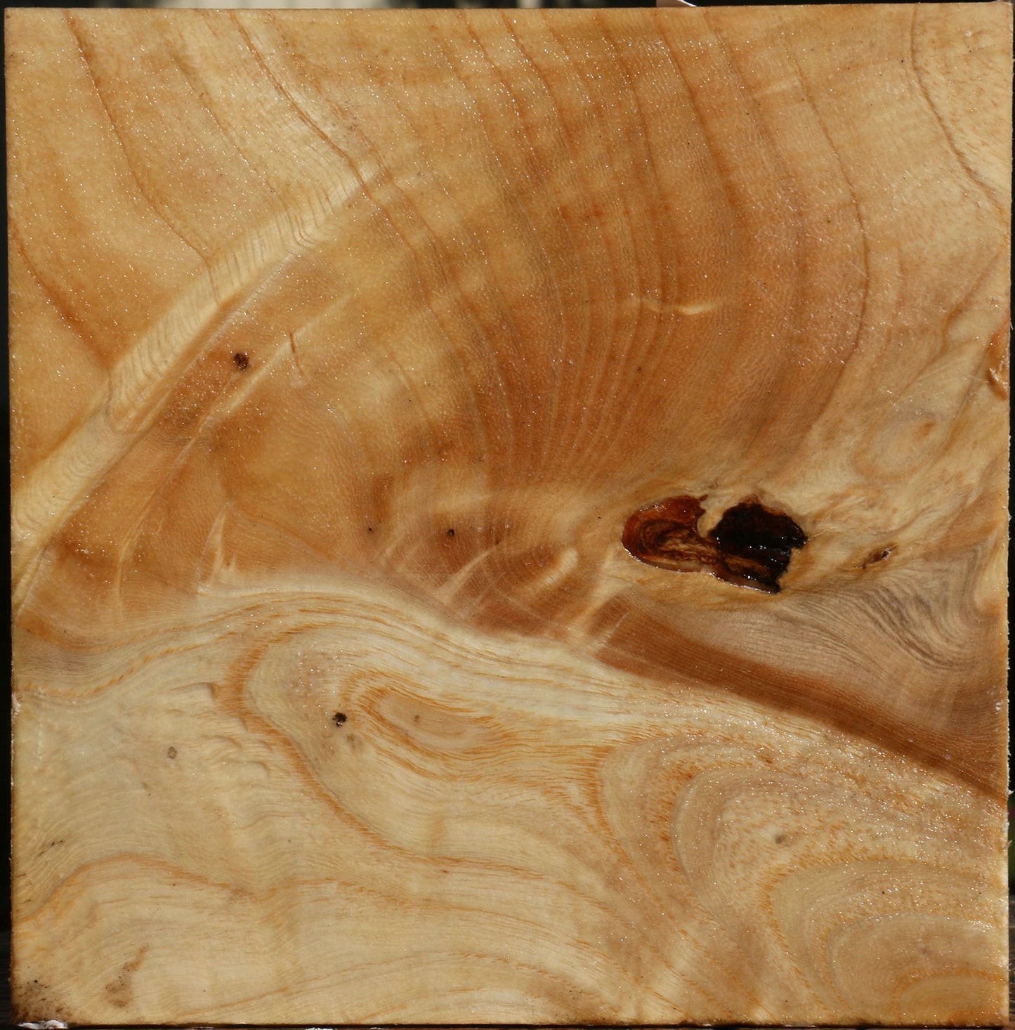 Extra Fancy Modesto Ash Bowl Blank