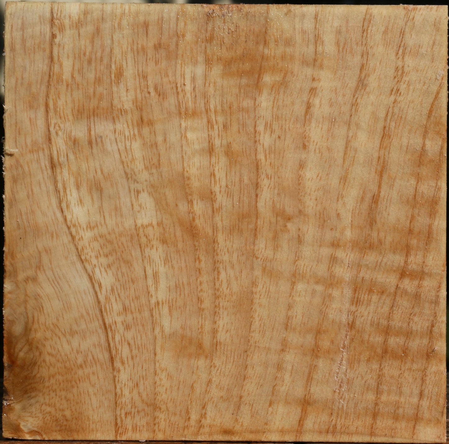 Modesto Ash Bowl Blank