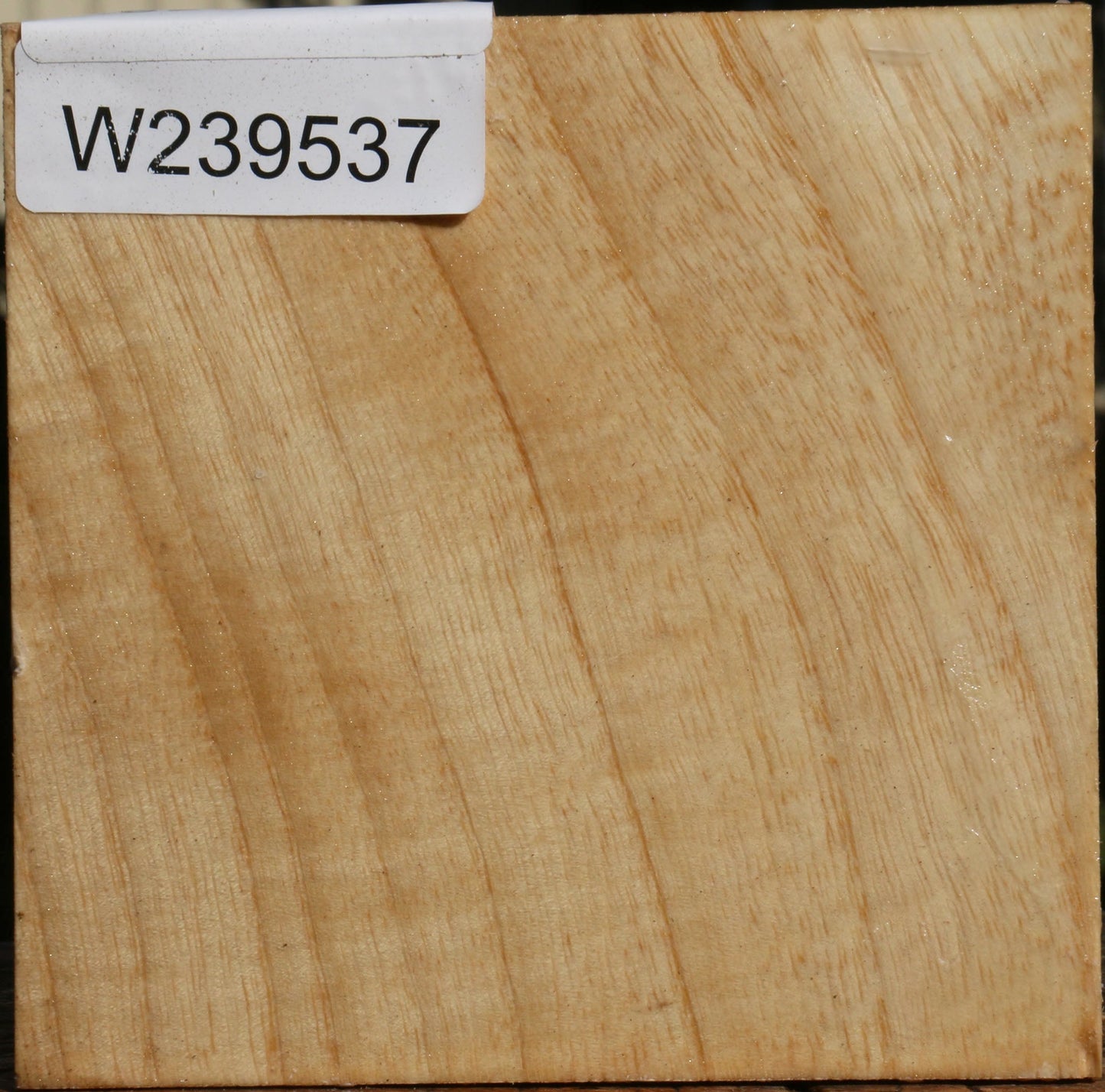 Modesto Ash Bowl Blank