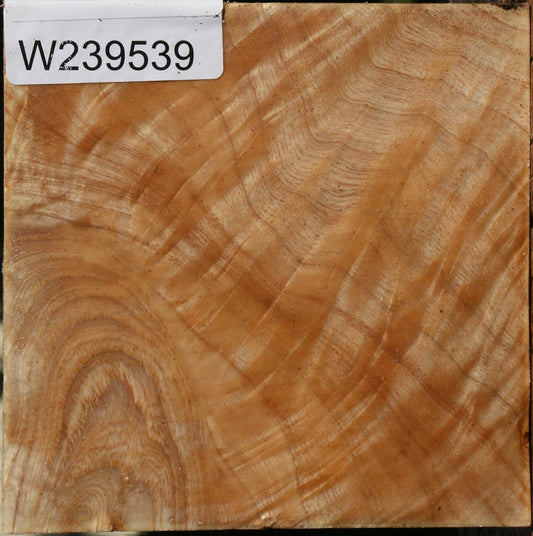 Extra Fancy Modesto Ash Bowl Blank