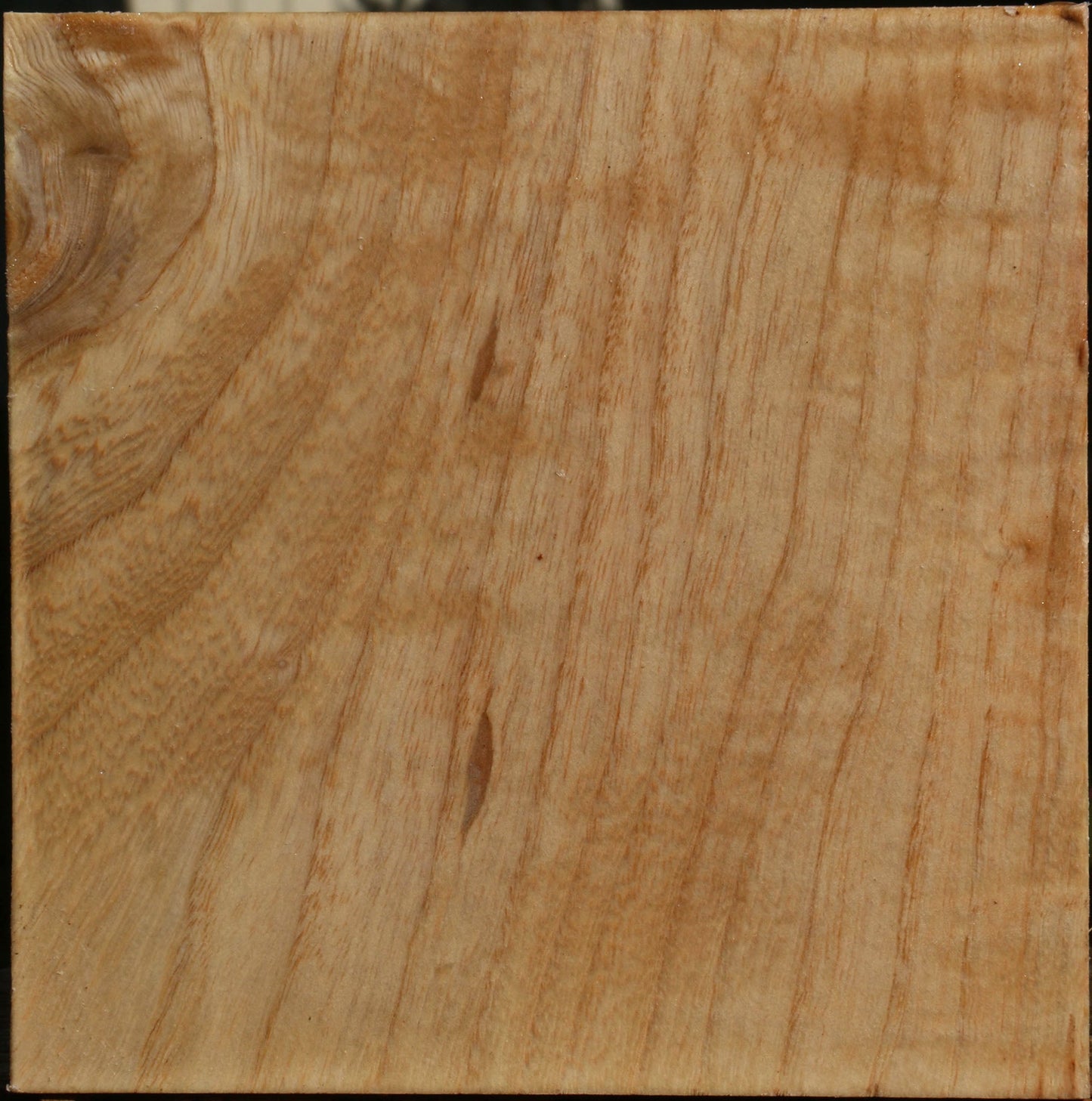 Modesto Ash Bowl Blank