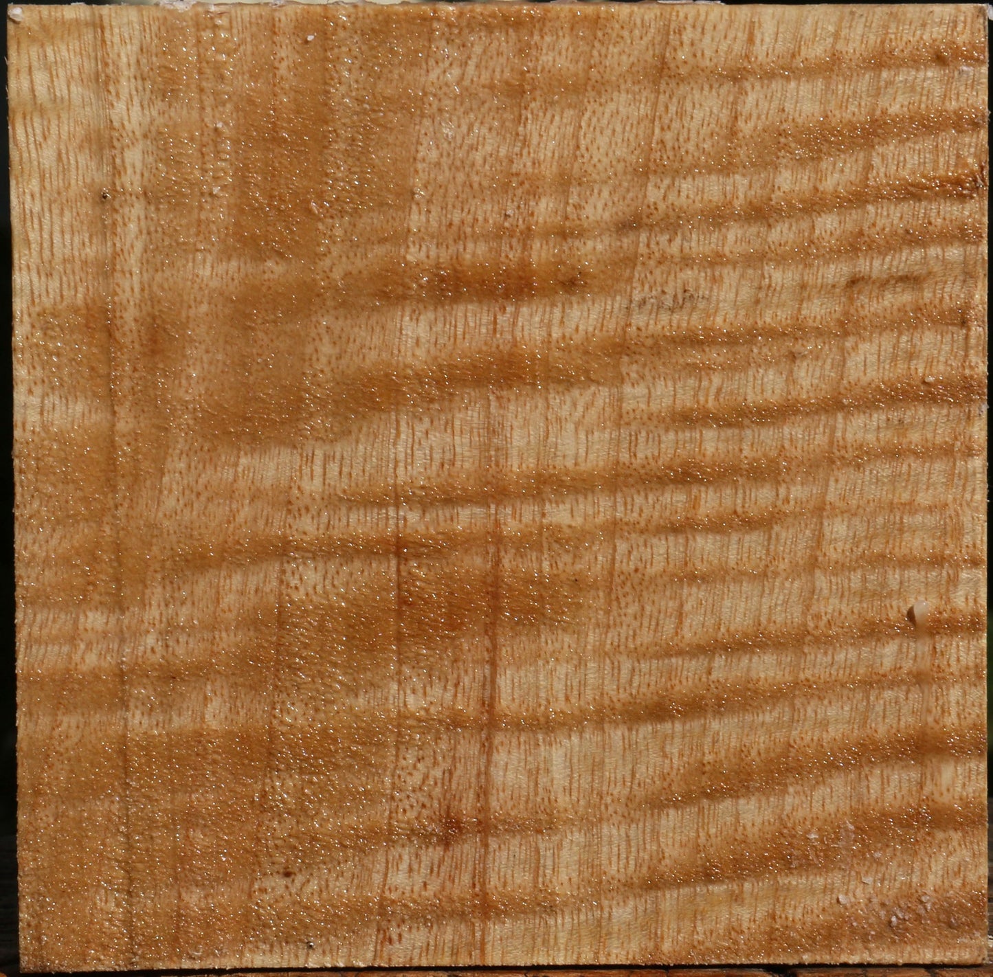 Extra Fancy Modesto Ash Bowl Blank