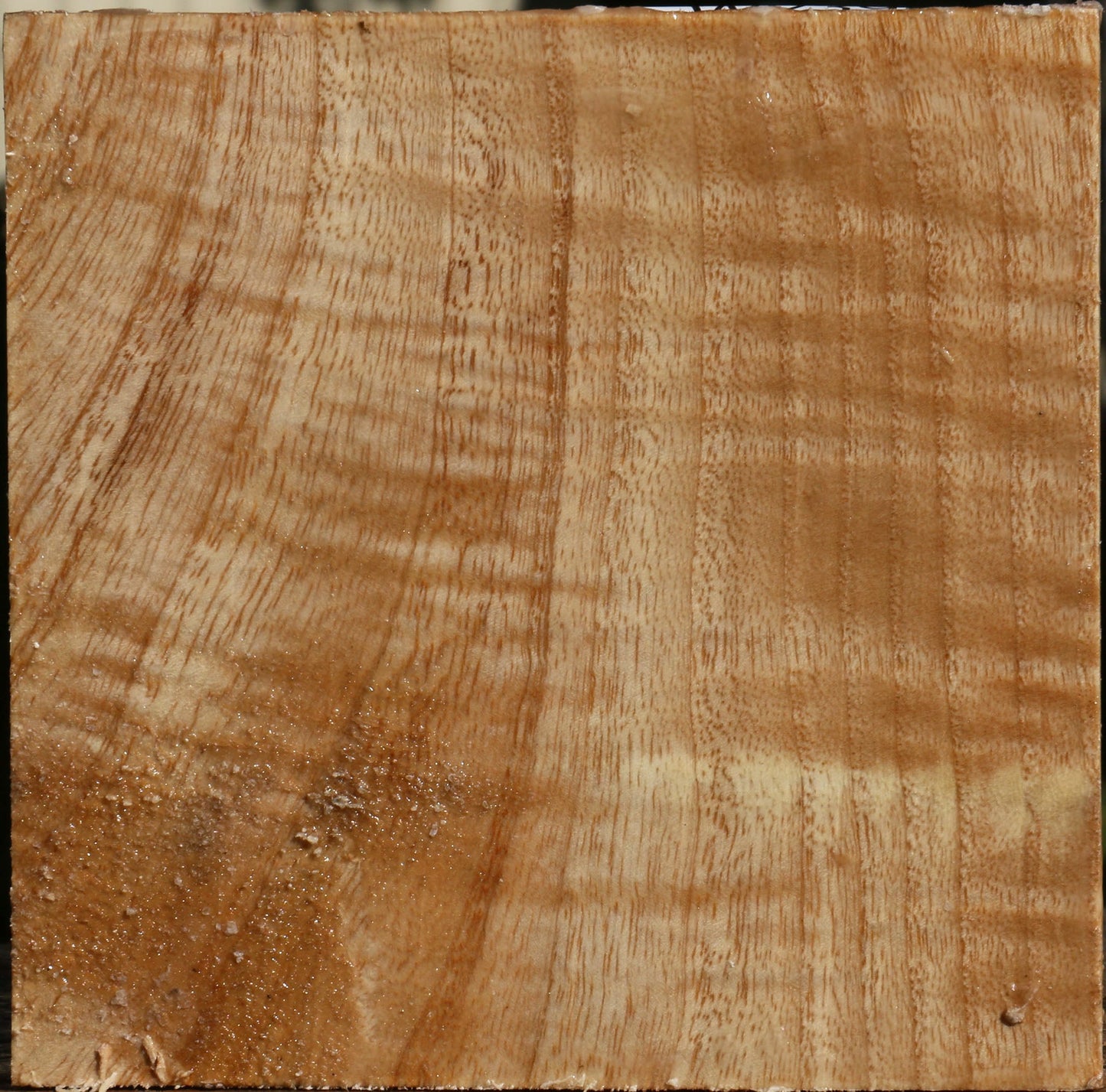 Extra Fancy Modesto Ash Bowl Blank