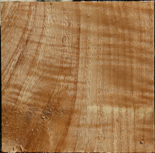 Extra Fancy Modesto Ash Bowl Blank