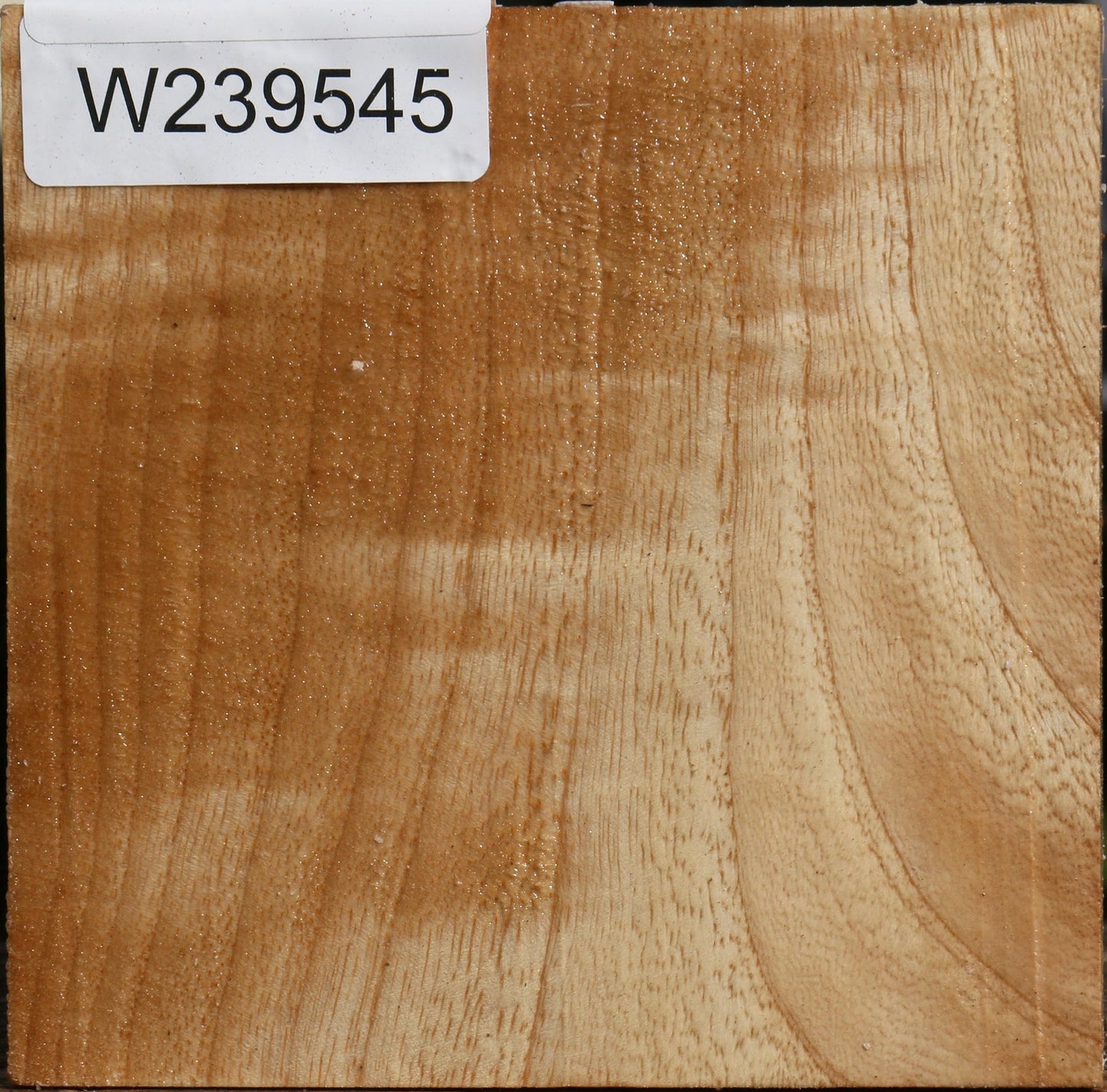 Extra Fancy Modesto Ash Bowl Blank