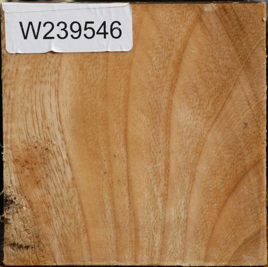 Modesto Ash Bowl Blank