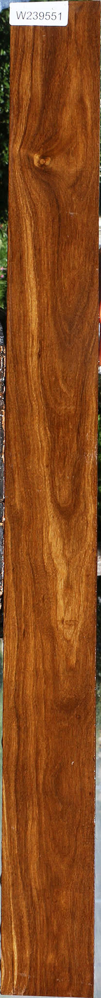Figured Bolivian Ebony Lumber