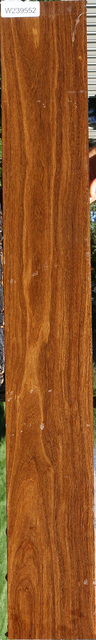 Bolivian Ebony Lumber