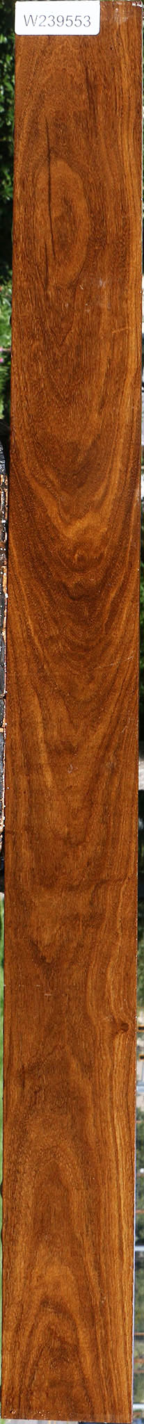 Figured Bolivian Ebony Lumber